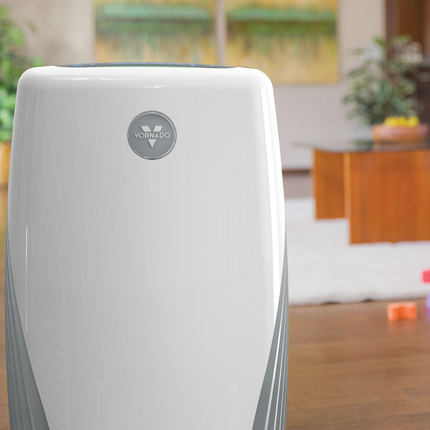 Collection image for: Silverscreen Air Purifiers