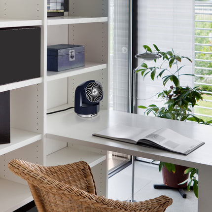 Home office with a desk, vornado fan, chair, and window view 