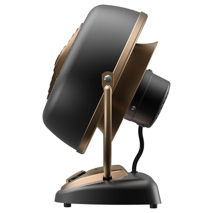 Black and gold desk fan on a white background