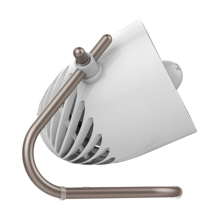 White fan with bronze stand on a white background