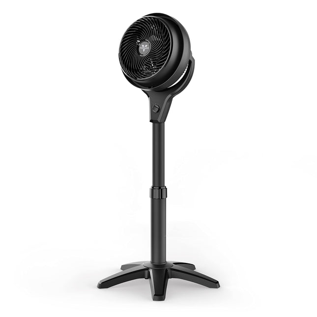 Black pedestal fan on a white background