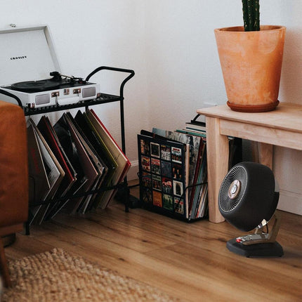 Record player, vinyl records, and a cactus in a pot on a wooden shelf in a room.