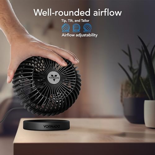 Black Vornado fan on a wooden surface with a blurred background