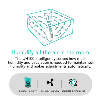 Diagram of a humidifier with text explaining its functions on a white background