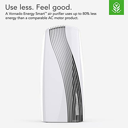 PCO575DC Energy Smart Air Purifier with Silverscreen® and HEPA Filtration
