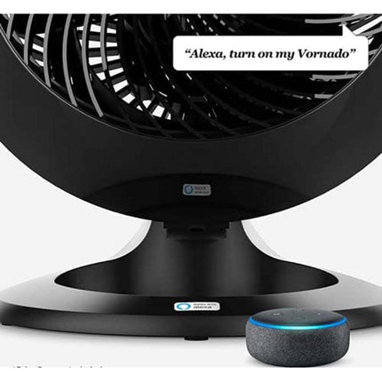 Black Vornado fan with an Amazon Echo Dot on a white background