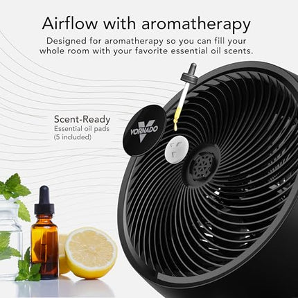 Black fan with aromatherapy features, essential oil bottles, and lemon on a white background