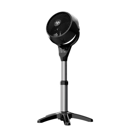 Black oscillating pedestal fan on a white background