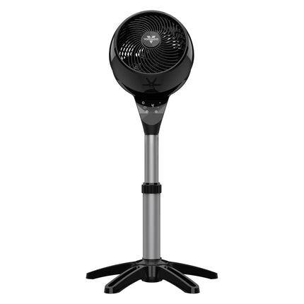 Black oscillating pedestal fan on a white background