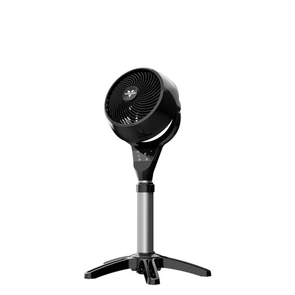 Black oscillating pedestal fan on a white background