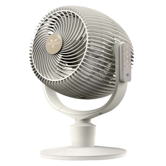 Alabaster colored fan on a white background