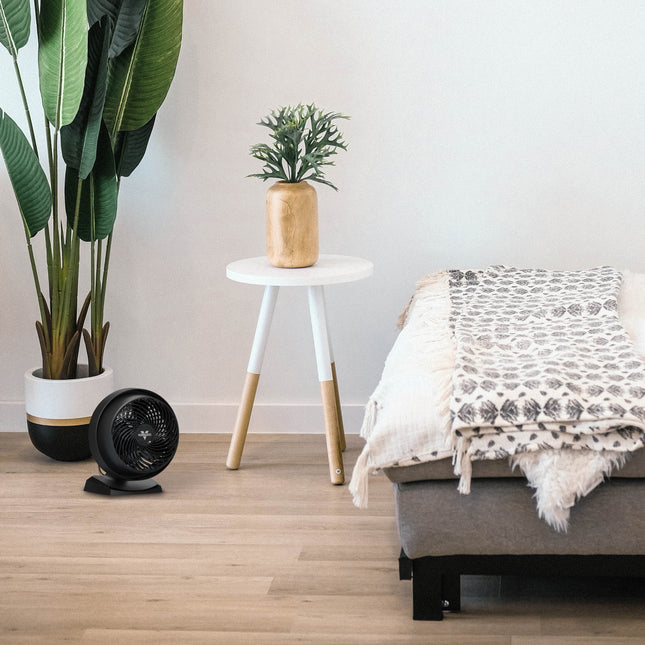 Living room with plants and fan