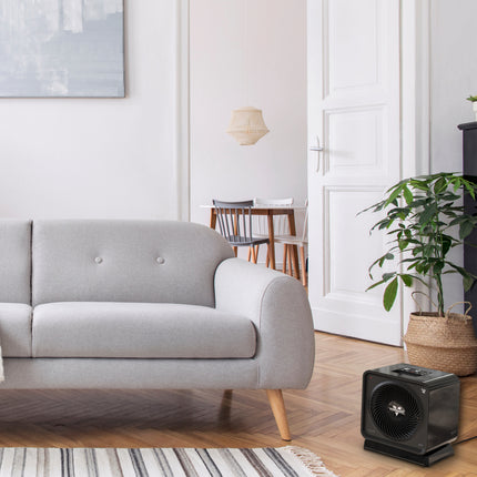 Modern living room with a gray sofa, plant, and black heater.
