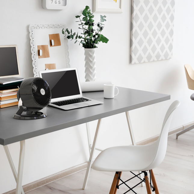 Modern home office with a desk, laptop, fan, and decorative items.