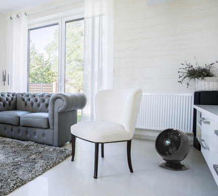 Modern living room with a gray sofa, white chair, and a floor fan.