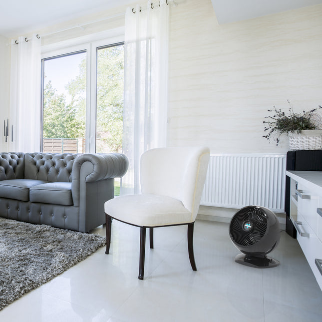 Modern living room with a gray sofa, white chair, and a floor fan.