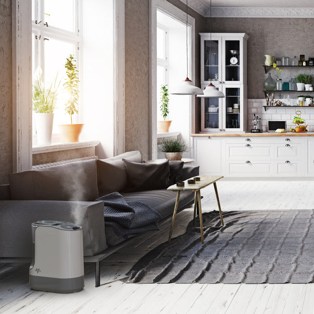 Modern living room with a gray sofa, coffee table, and humidifier.