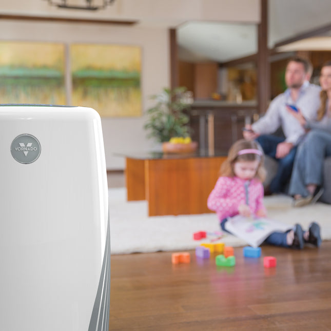 PCO575DC Energy Smart Air Purifier with Silverscreen® and HEPA Filtration