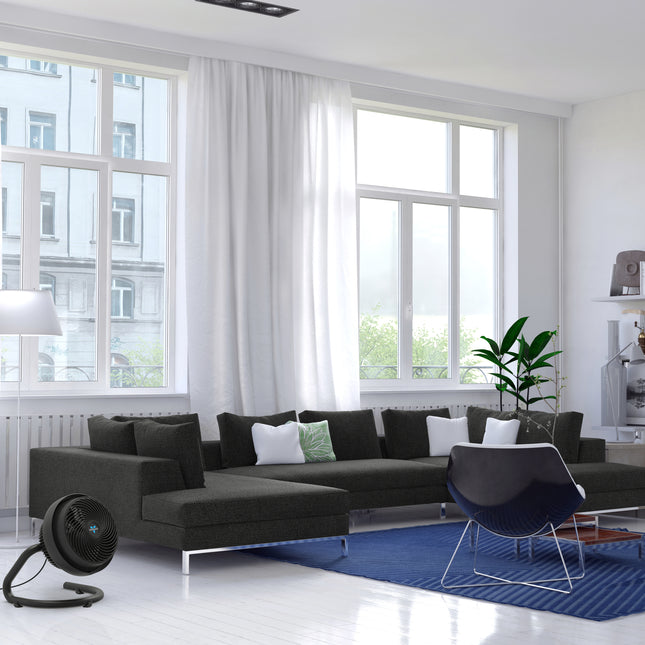 Modern living room with a black sectional sofa, blue rug, and a fan on the floor.