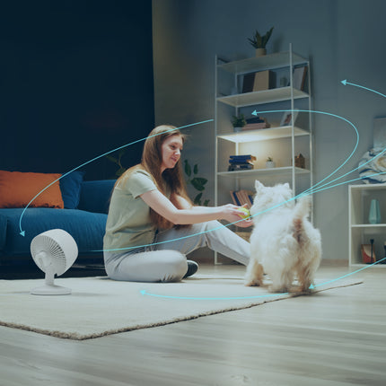 Woman playing with a dog while fan is blowing in living room.
