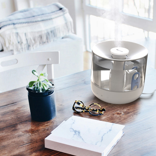 White humidifier on a wooden table with a plant, glasses, and book in a bright room.