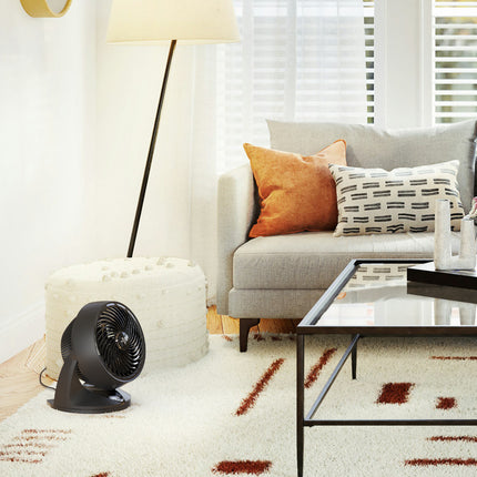 Living room with a gray sofa, coffee table, and floor fan.