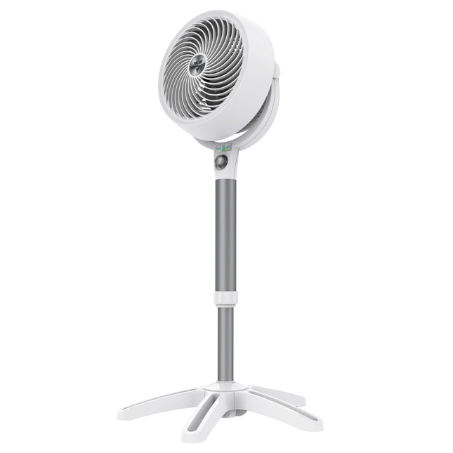 683DC pedestal fan on blank background.