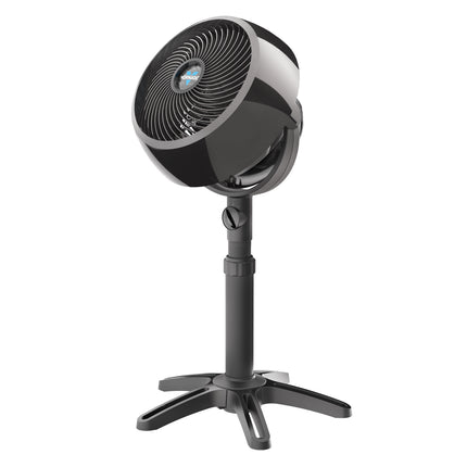 7803 pedestal fan on a blank background.