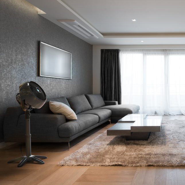 7803 next to a couch in a modern living room.