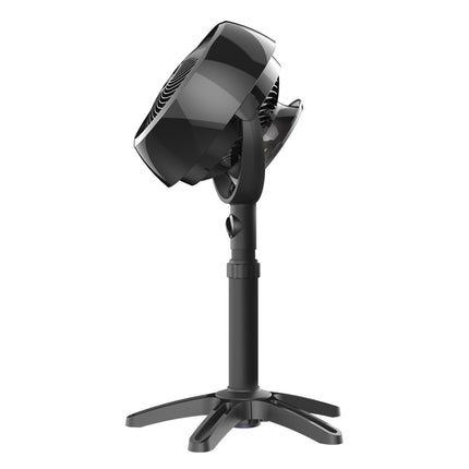 7803 side view with head tilted on a blank background.