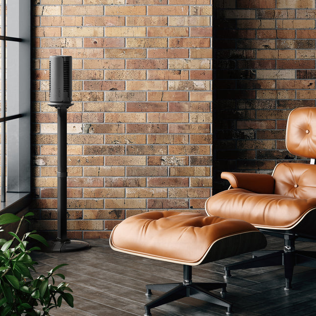 Atom 1S in living room in a corner.