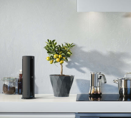 Atom 2 AE on top of counter.