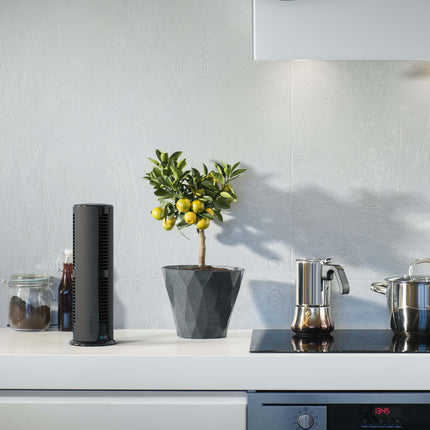 Atom 2 AE on top of counter.