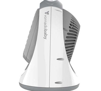 Breesi side view with blank background.