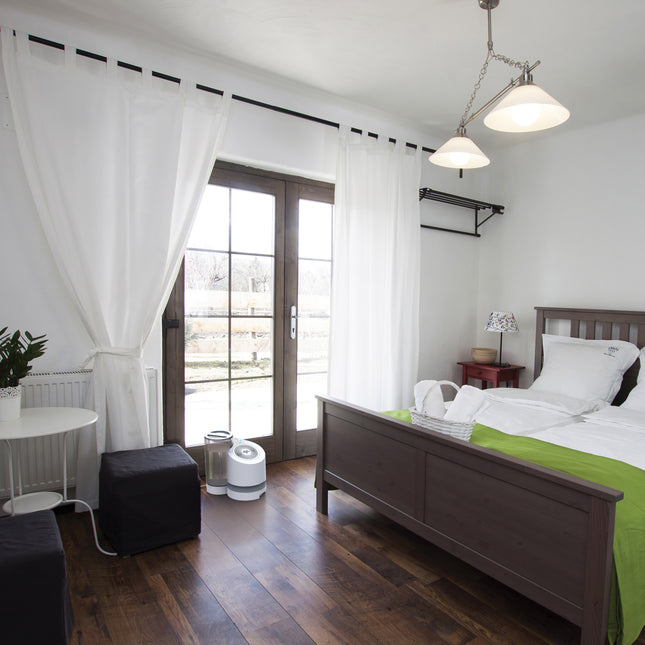 ev100 in front of a glass door in a bedroom with lots of natural lighting, and next to a wooden bed 