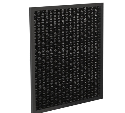MD1-0027 carbon filter replacement