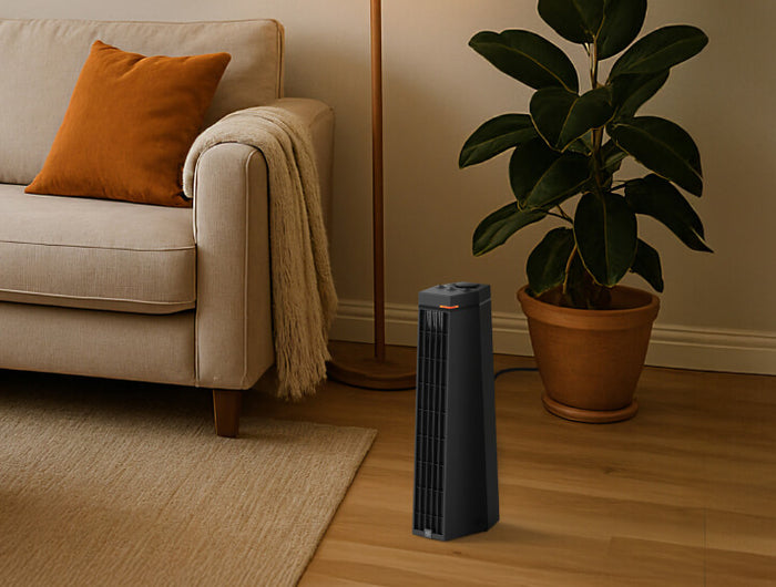 RISE 20H heater near a couch in a living room