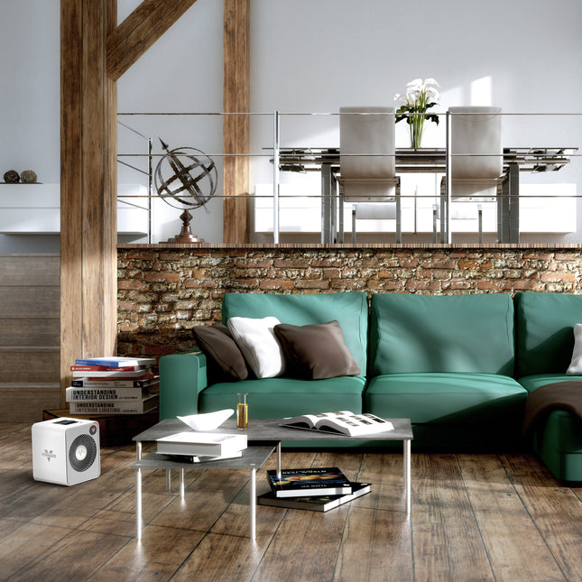 Modern living room with a green sofa, coffee table, and decorative items.