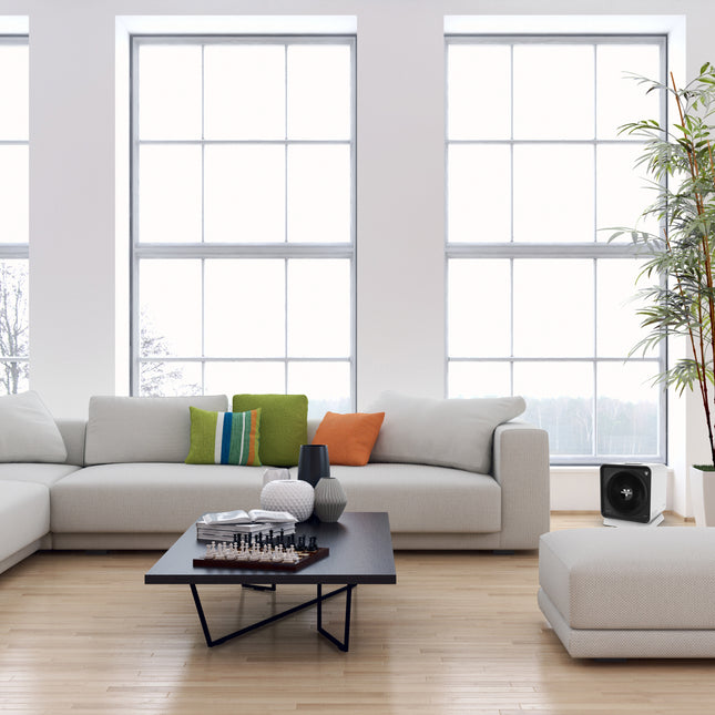 Modern living room with a sectional sofa, coffee table, and large windows.
