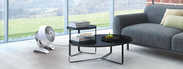 6303DC in living room by coffee table infront of couch.