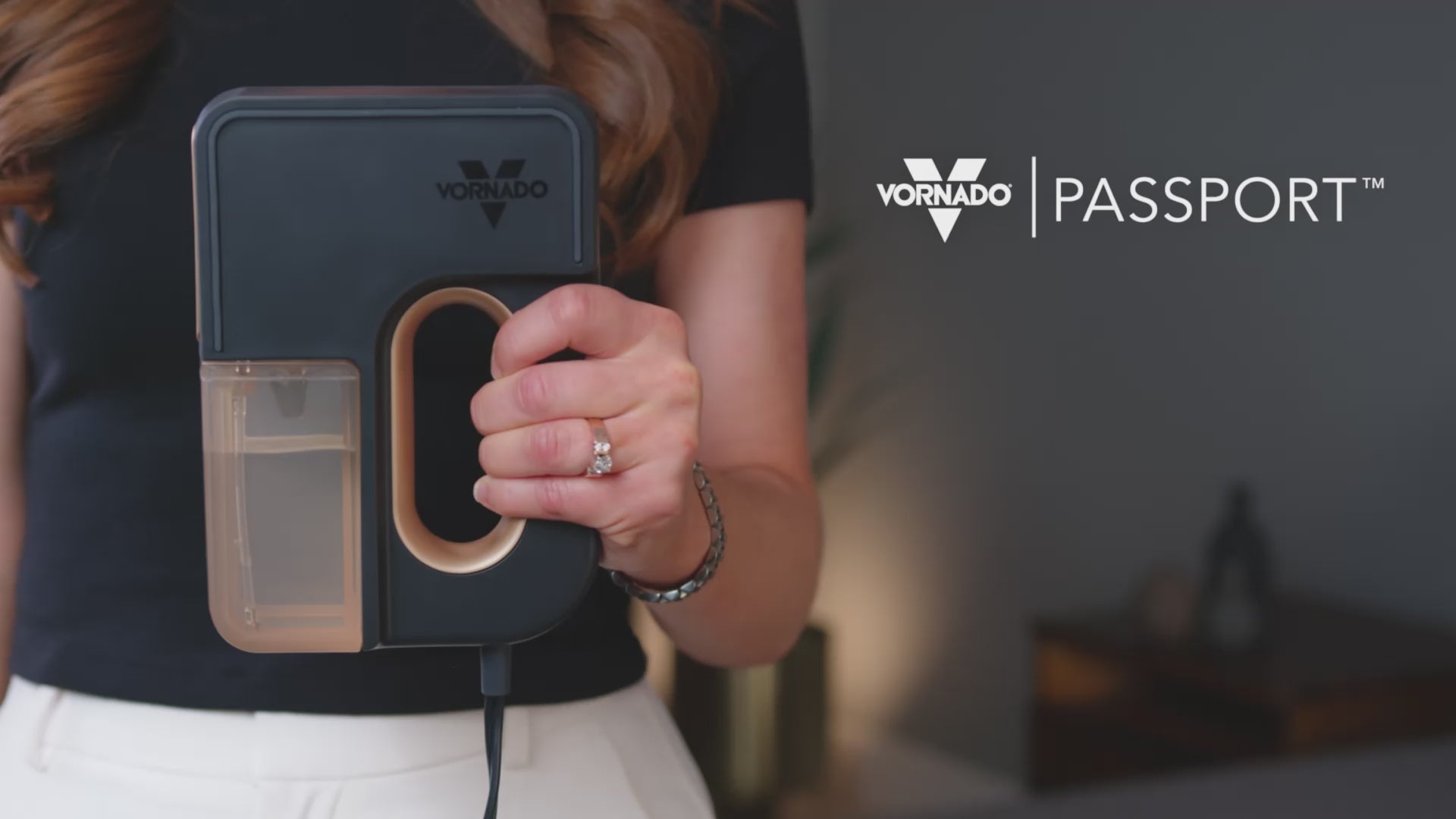Product Video showing the features of the Vornado Passport handheld steam cleaner.