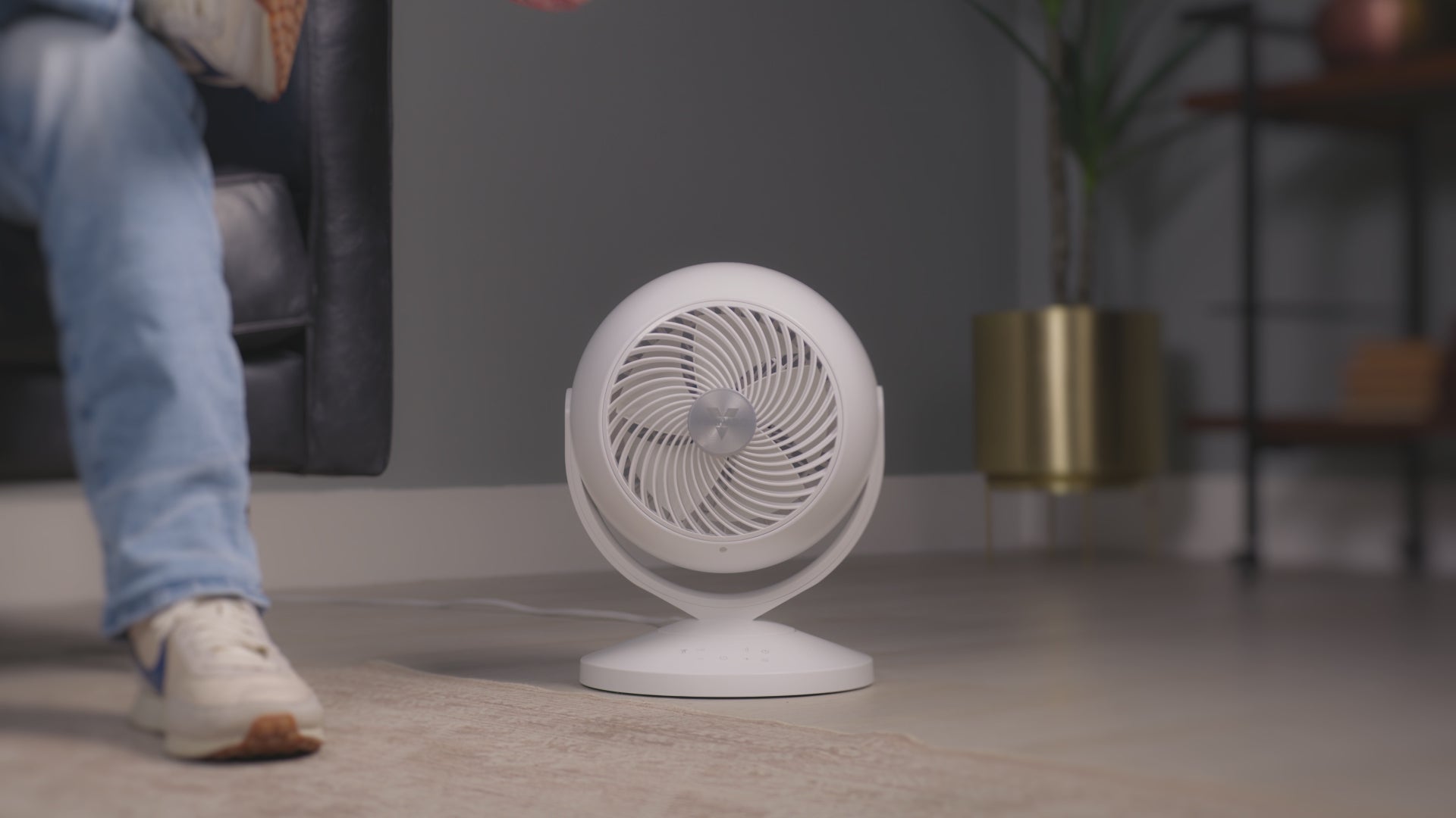 Vornado Air | Experience. Perfect. Comfort.
