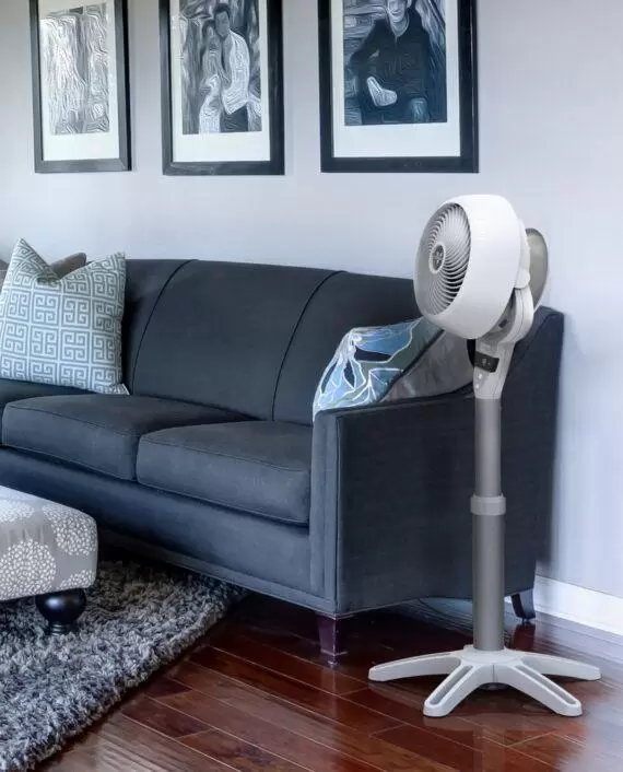 White 6803 DC Medium-sized Pedestal Air Circulator next to a dark grey couch in a living room