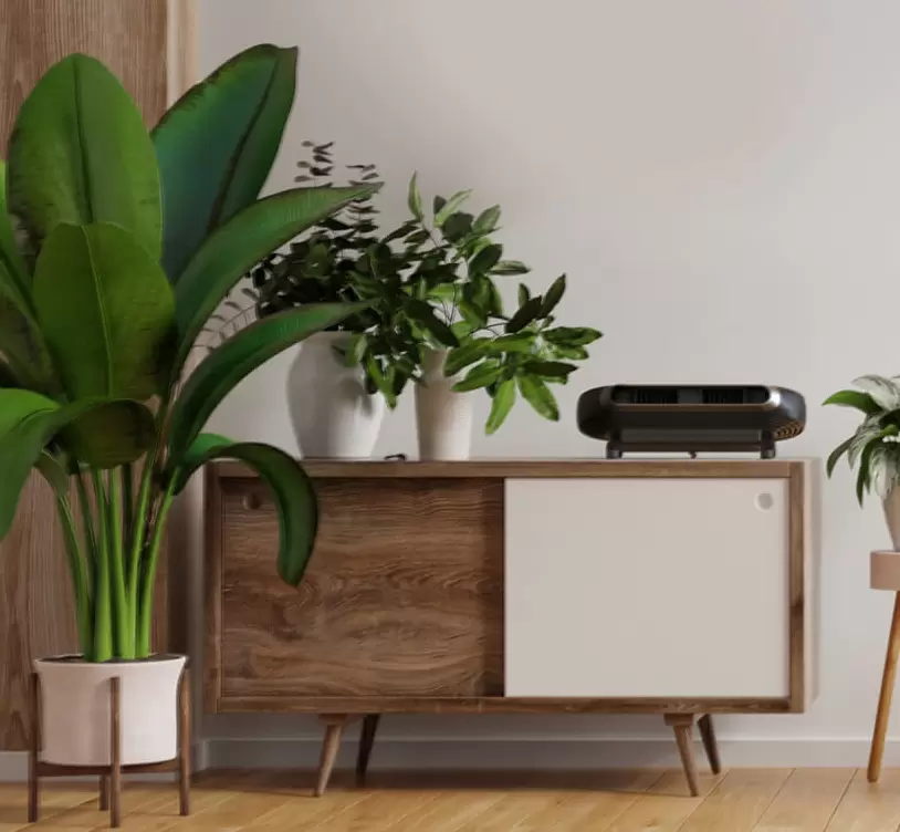 Lifestyle of AXL fan sitting on a table in a modern living room. The fan is surrounded by green plants.